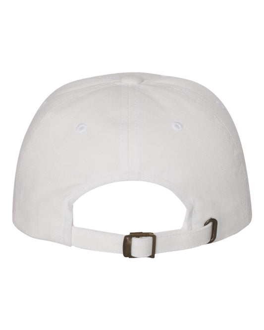 AACPS Pride Printed Hat