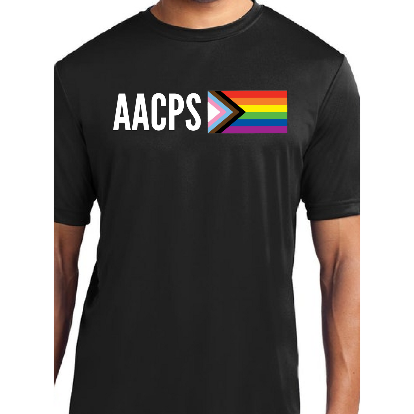 AACPS Pride Adult & Youth Tee (Gildan)