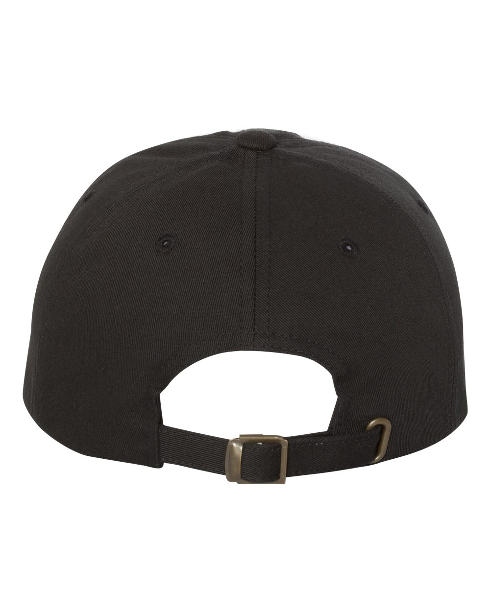 AACPS Pride Printed Hat