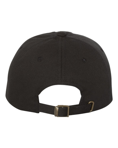 AACPS Pride Printed Hat