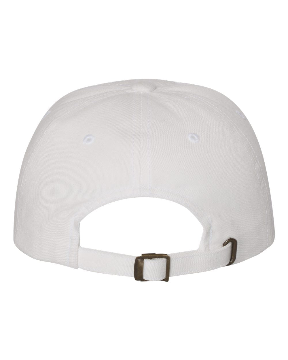 AACPS Pride Printed Hat